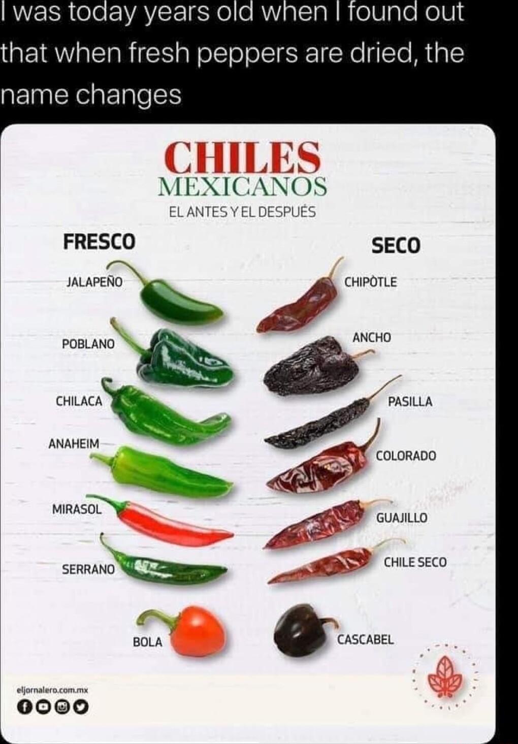 was today years old when that when fresh peppers are dried the name changes iXICANOS EL ANTES Y EL DESPUES FRESCO SECO JALAPENO mmm szmNm N i Yrscane