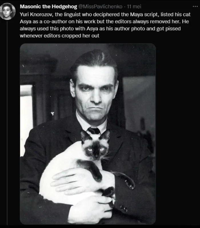 LVELL TR G Y EL PN T Yuri Knorozov the linguist who deciphered the Maya script listed his cat Asya as a co author on his work but the editors always removed her He always used this photo with Asya as his author photo and got pissed whenever editors cropped her out