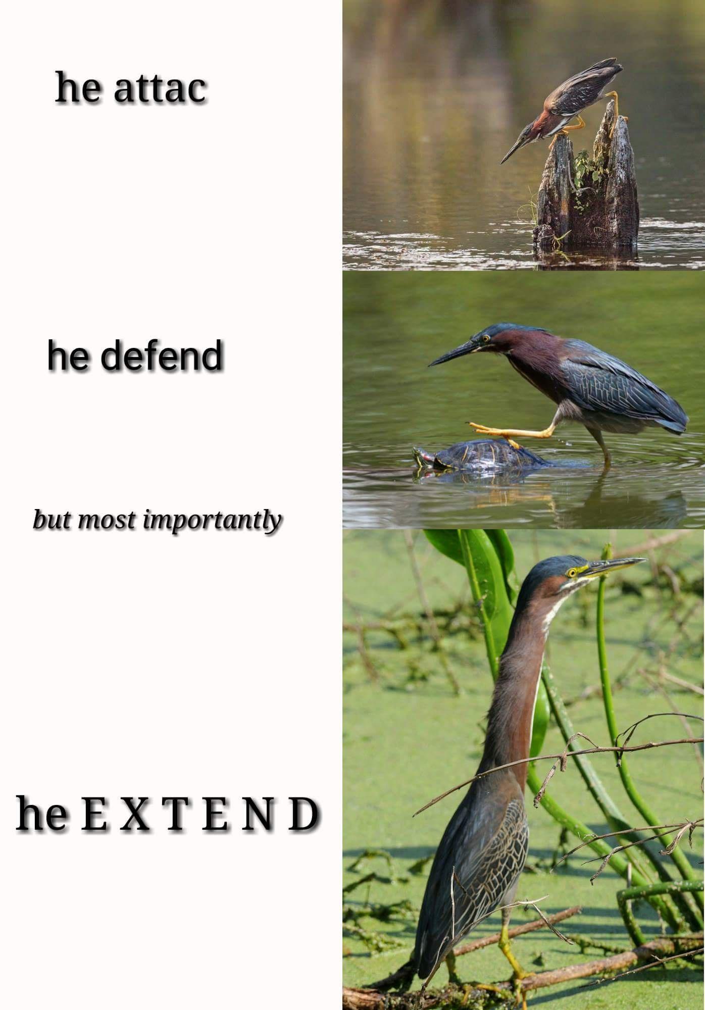 he attac he defend but most importantly