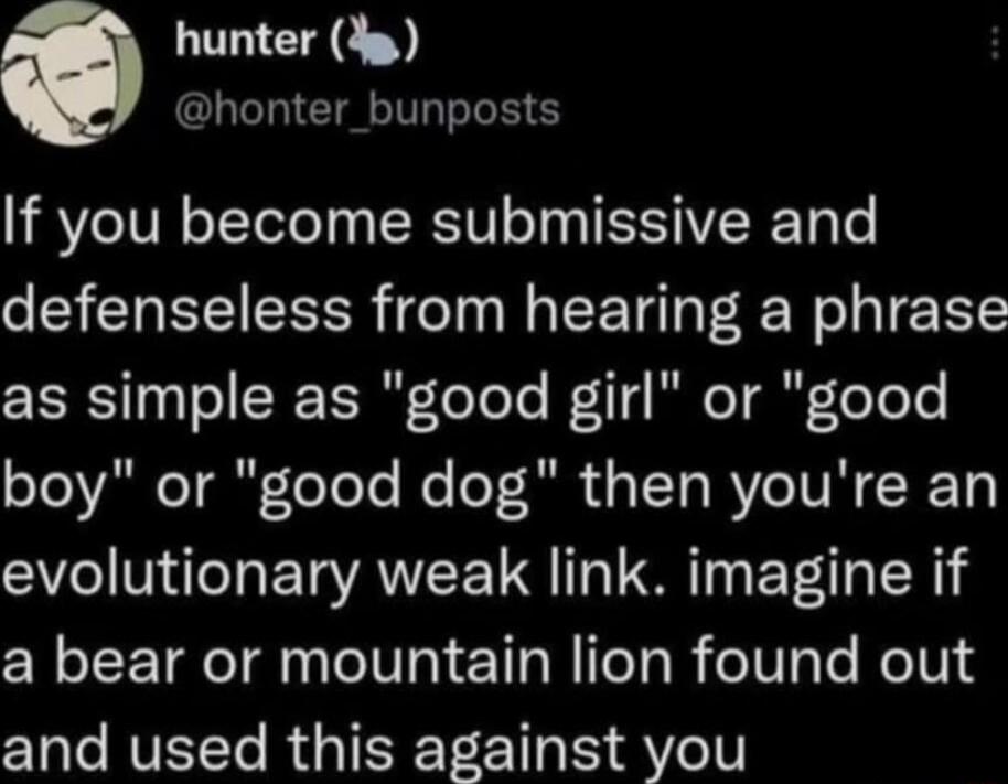 hunter dg honter_bunposts If you become submissive and defenseless from hearing a phrase RT3 Tol SR ST ToTe 4 e T e oo boy or good dog then youre an SV ETAVEE UG U ET a bear or mountain lion found out and used this against you