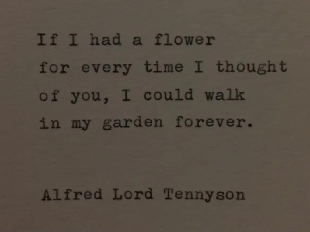 If I had a flower for every time I thought of you I could walk in my garden forever Alfred Lord Tennyson