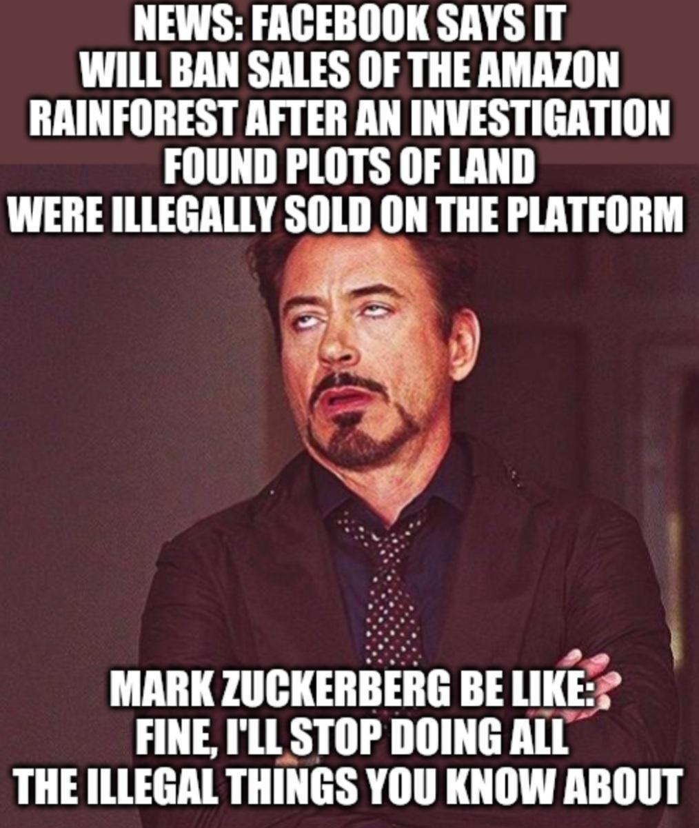 NEWS FACEBOOK SAYS IT WILL BAN SALES OF THE AMAZON RAINFOREST AFTER AN INVESTIGATION FOUND PLOTS OF LAND WERE ILLEGALLY SOLD ON THE PLATFORM Y THE ILLEGAL THINGS YOU KNOW ABOUT