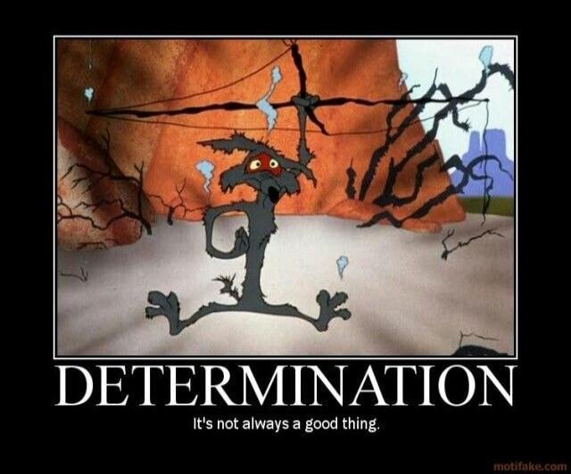 DETERMINATION
It's not always a good thing.