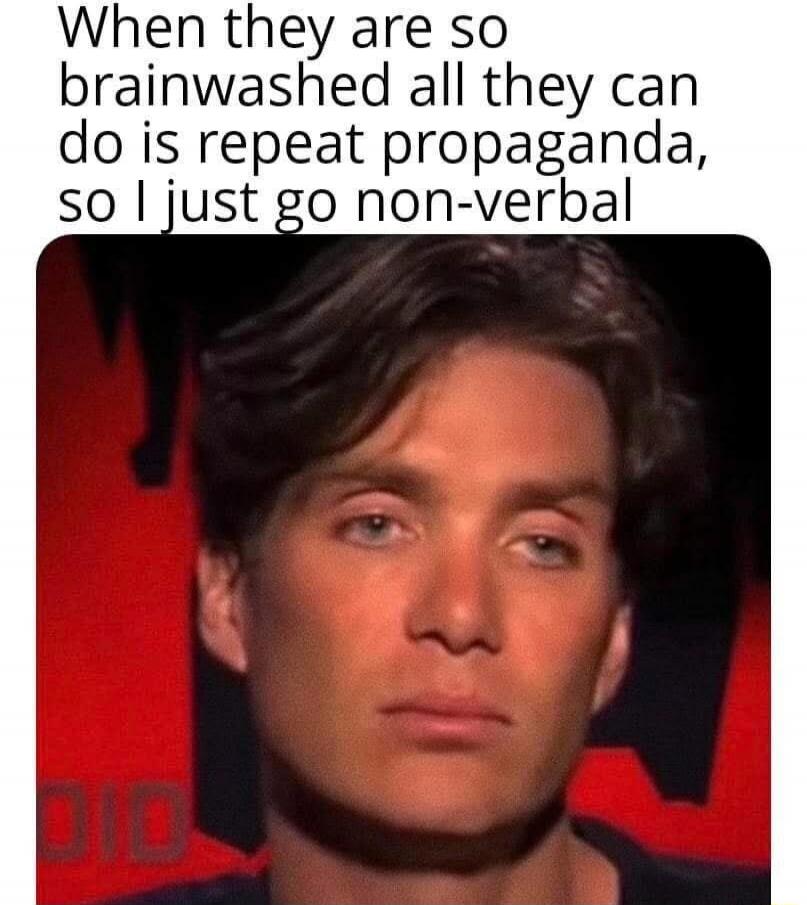 When they are so brainwashed all they can do is repeat propaganda, so I just go non-verbal