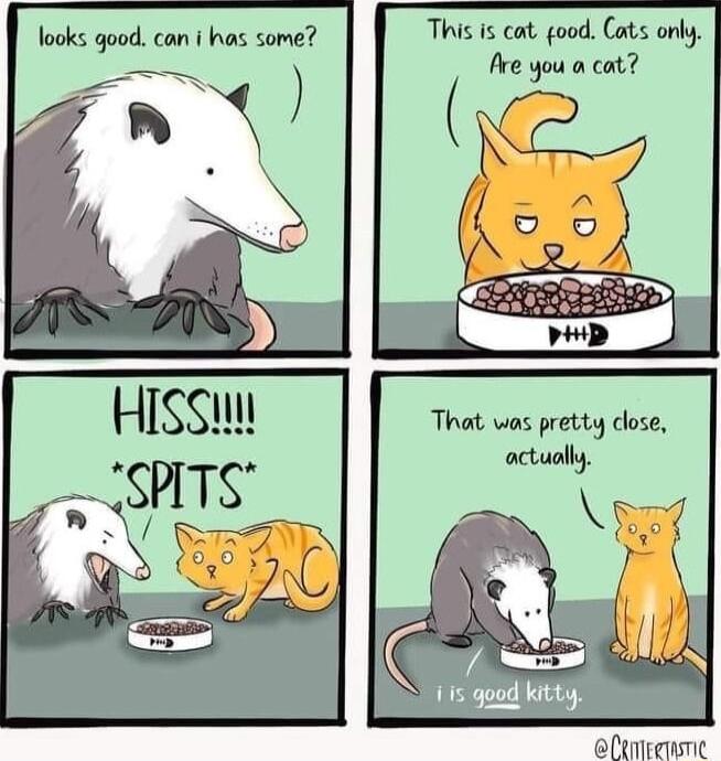 looks good cam i has some HISSu s DRV oo This is cat good Cats only Are you a cat That was pretty dlose actually eltmeemsmc
