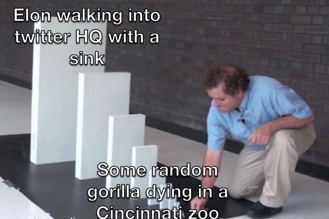 Elgnawalking into LWitter WIGIES STk