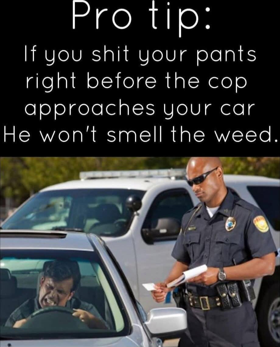 Pro tip If you shit your pants right before the cop feeYegelelel aI X NUloVReleg He wont smell the weed