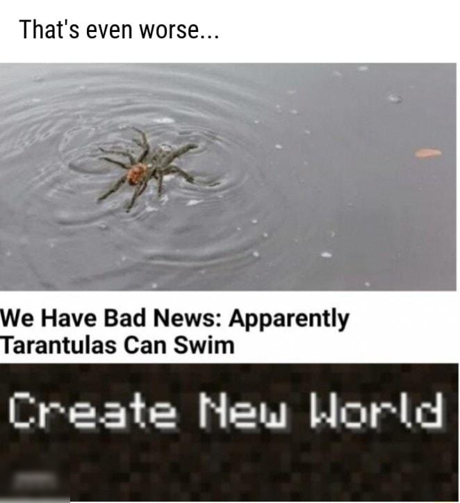 Thats even worse We Have Bad News Apparently Tarantulas Can Swim Create New Horld