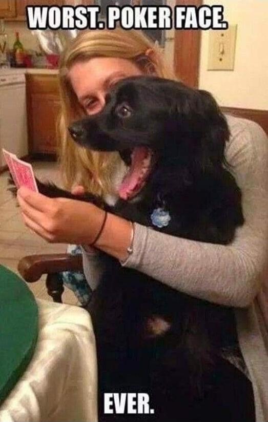 WORST. POKER FACE. EVER.