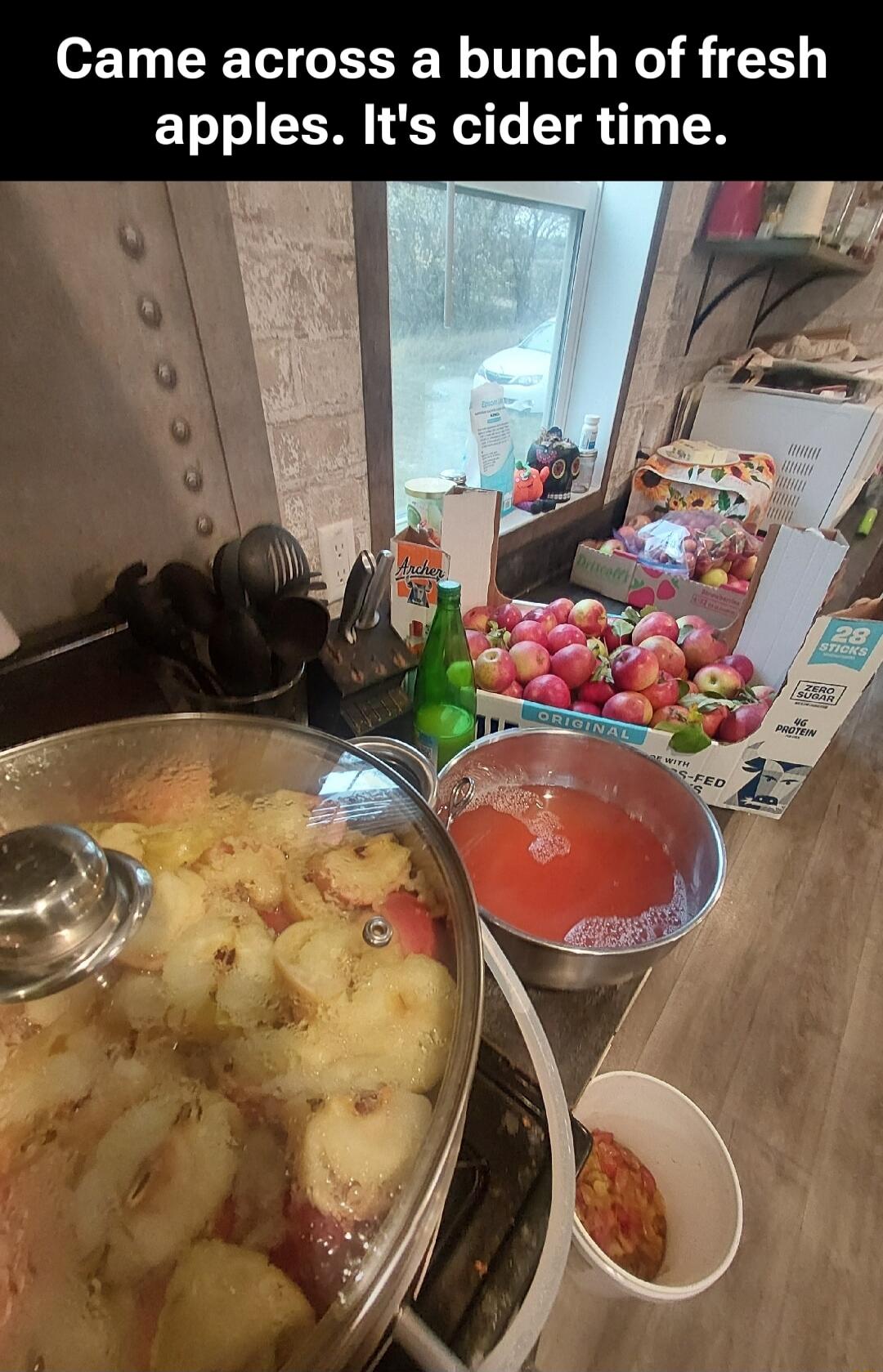 Came across a bunch of fresh apples. It's cider time.