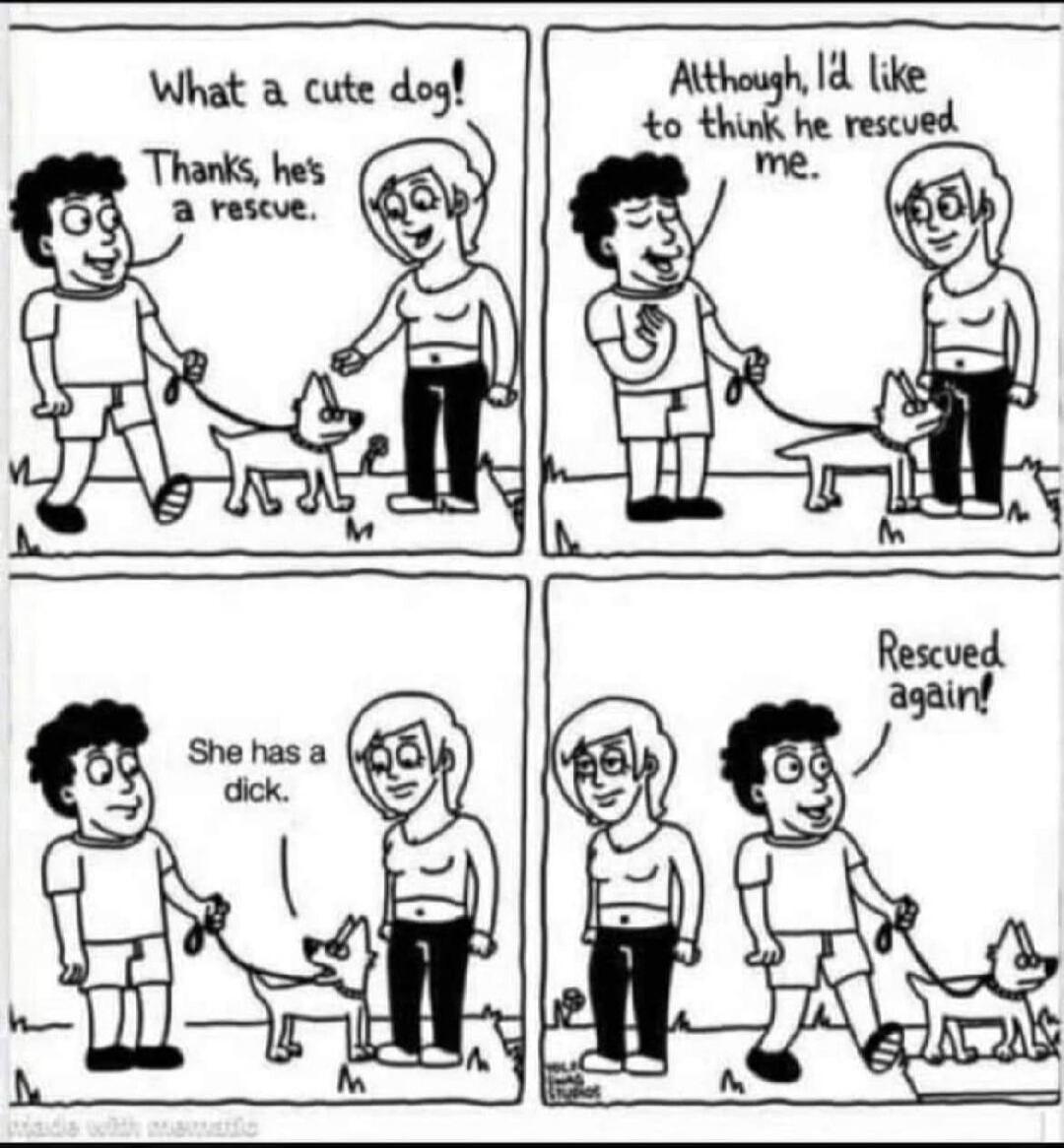 What a cute dog! Thanks, he's a rescue. Although, I'd like to think he rescued me. She has a dick. Rescued again!