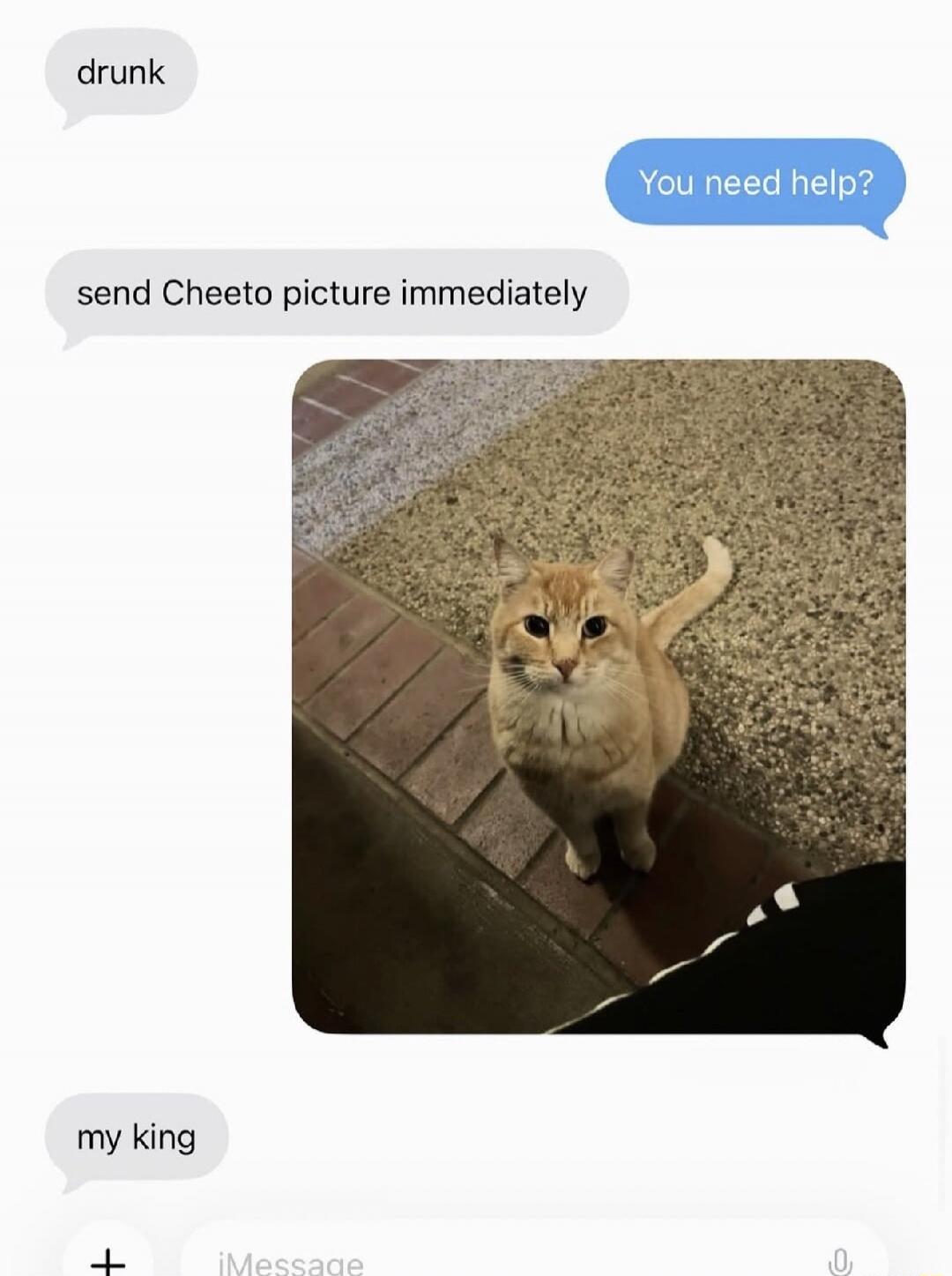drunk You need help? send Cheeto picture immediately my king
