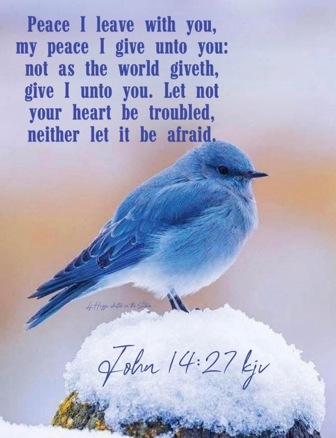 Peace I leave with you, my peace I give unto you: not as the world giveth, give I unto you. Let not your heart be troubled, neither let it be afraid. John 14:27 kjv. H. Higgs, shelter in the Storm