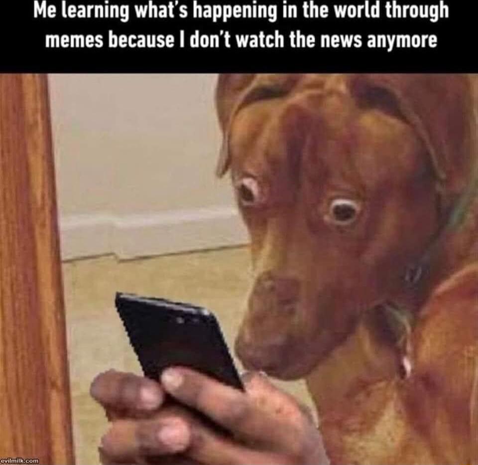LCACE QTN REELSET D RORUCR O RUTOIT L memes because dont watch the news anymore