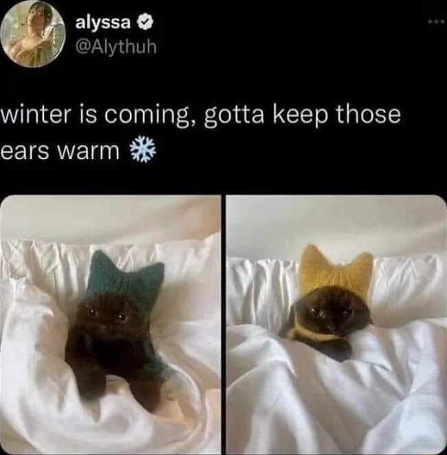 winter is coming gotta keep those ears warm