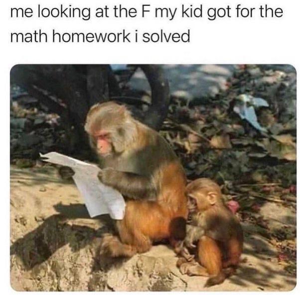 me looking at the F my kid got for the math homework i solved