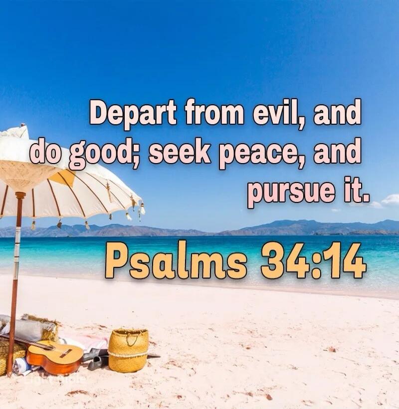 Depart from evil, and do good; seek peace, and pursue it. Psalms 34:14