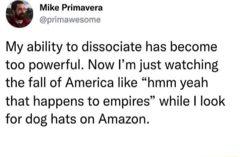 Mike Primavera primawesome My ability to dissociate has become too powerful Now Im just watching the fall of America like hmm yeah that happens to empires while look for dog hats on Amazon