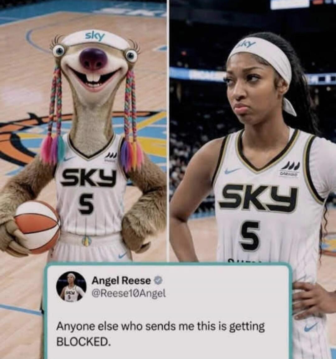 sky SKY 5 Angel Reese @Reese10Angel Anyone else who sends me this is getting BLOCKED.