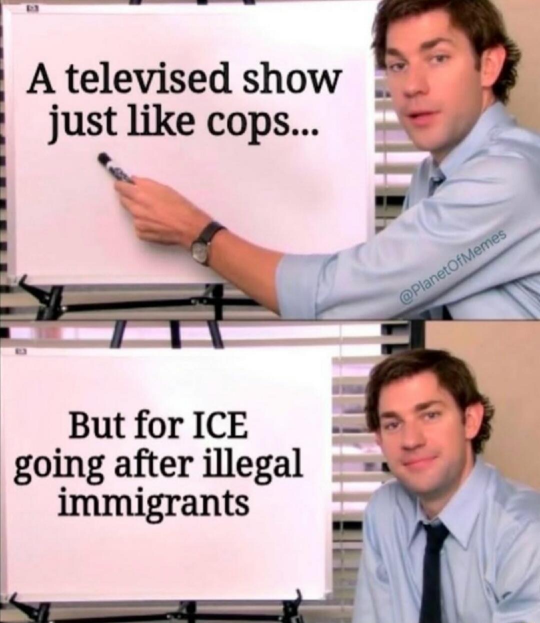 A televised show just like cops... But for ICE going after illegal immigrants