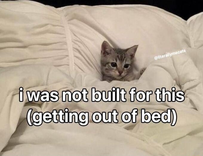 SiWasiotbuINionthiS Cefingenieroee