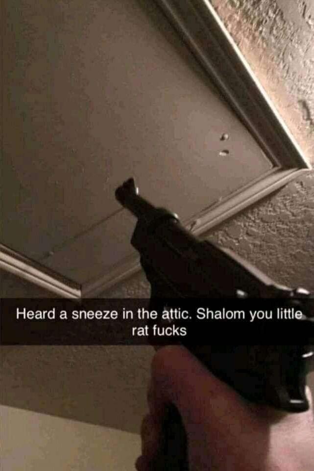 CETG R CEP LR LR G LR TCSH E T B TVR TN rat fucks