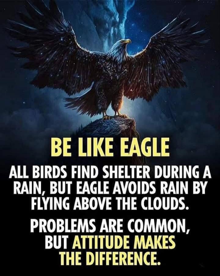 BE LIKE EAGLE
ALL BIRDS FIND SHELTER DURING A RAIN, BUT EAGLE AVOIDS RAIN BY FLYING ABOVE THE CLOUDS.
PROBLEMS ARE COMMON, BUT ATTITUDE MAKES THE DIFFERENCE.