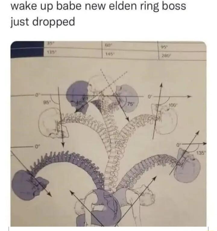 wake up babe new elden ring boss just dropped