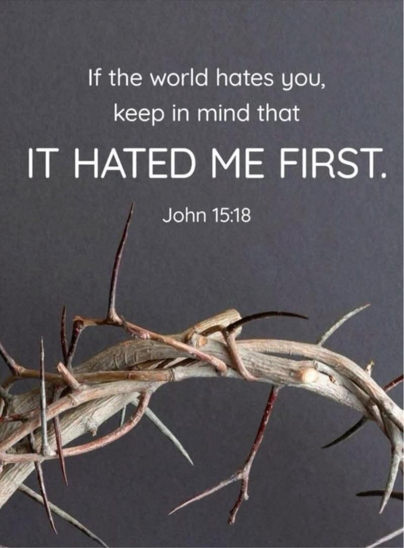 If the world hates you, keep in mind that IT HATED ME FIRST. John 15:18