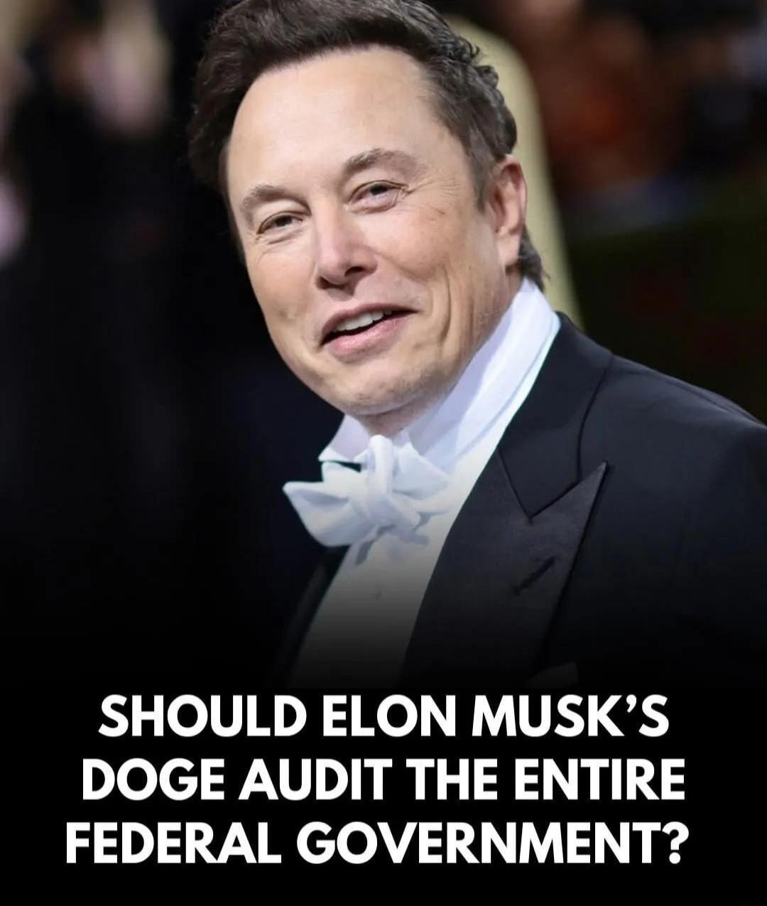 SHOULD ELON MUSKS DOGE AUDIT THE ENTIRE FEDERAL GOVERNMENT