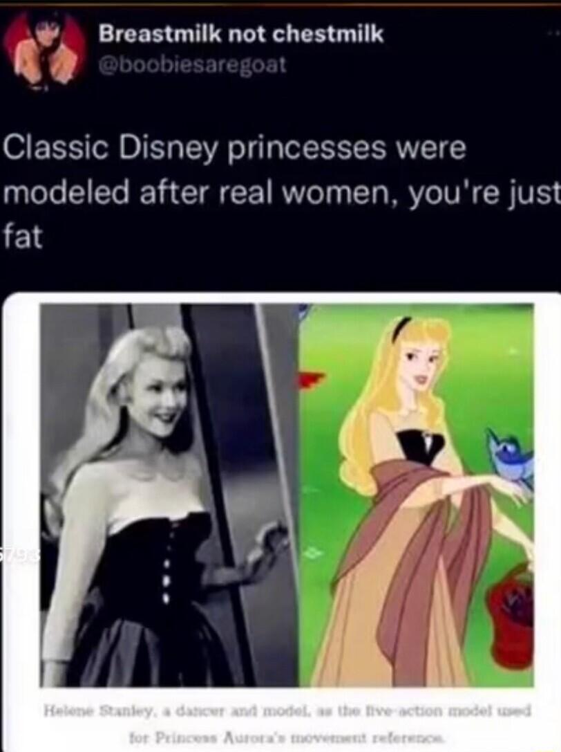 _ Breastmilk not chestmilk Classic Disney princesses were modeled after real women youre just 18