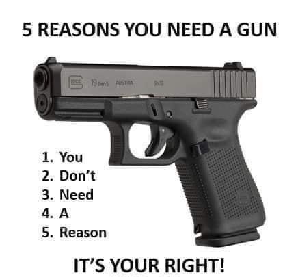 5 REASONS YOU NEED A GUN 5 Reason ITS YOUR RIGHT