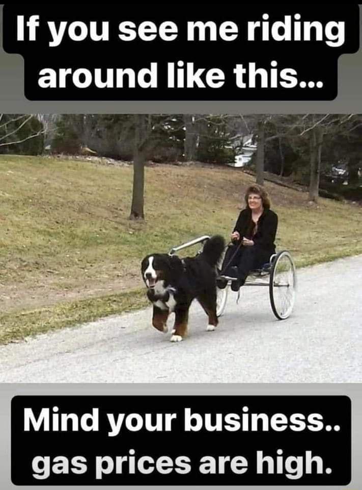 If you see me riding around like this B F Mind your business CELY TN T