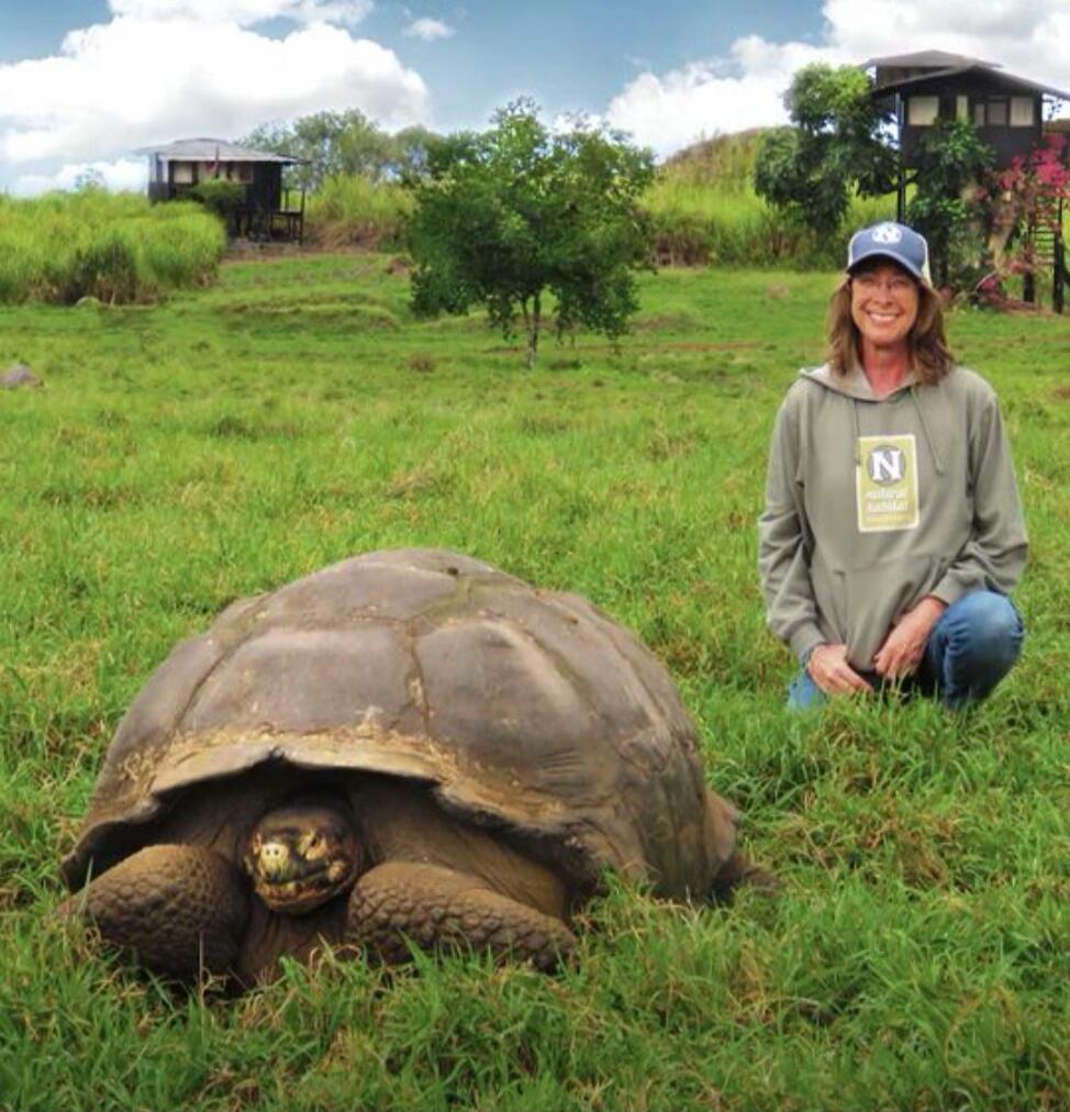 A woman is kneeling in a grassy field next to a giant tortoise. She is wearing a grey hoodie with a 'Natural Habitat' logo and a cap with an 'N' logo. The tortoise is large and has its head slightly out of its shell, looking towards the camera. In the background, there are green hills, trees, and some small buildings.