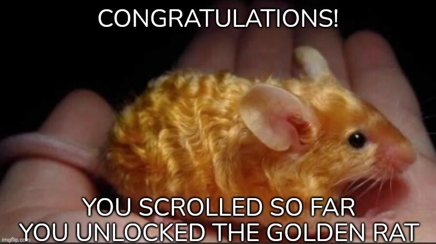 CONGRATULATIONS