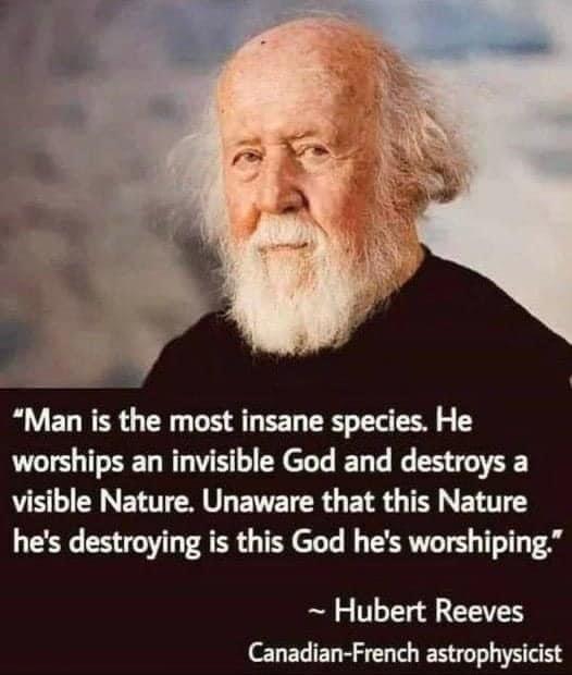 Man is the most insane species He worships an invisible God and destroys a VS LICNNETTTER L ERETCR G ELR G TR ERTTY hes destroying is this God hes worshiping Hubert Reeves Canadian French astrophysicist