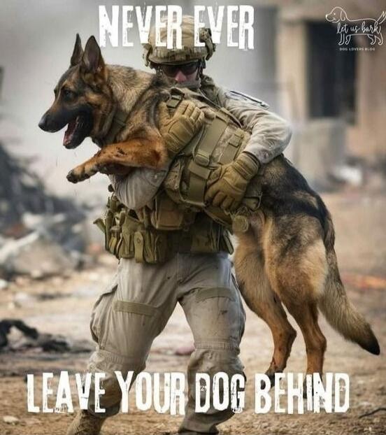 NEVER EVER LEAVE YOUR DOG BEHIND LET US BARK DOG LOVERS BLOG