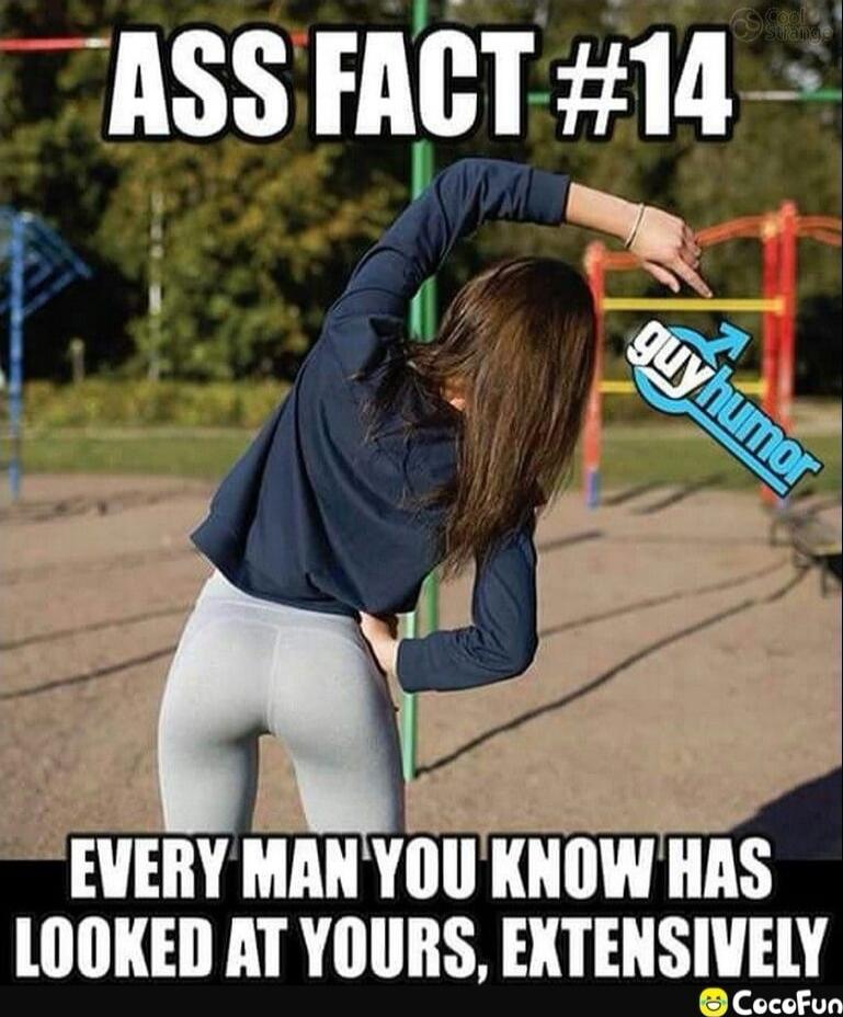 ASS FACT #14 EVERY MAN YOU KNOW HAS LOOKED AT YOURS, EXTENSIVELY