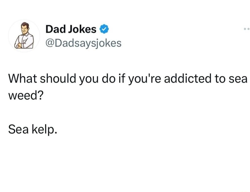 Dad Jokes Dadsaysjokes What should you do if youre addicted to sea weed Sea kelp