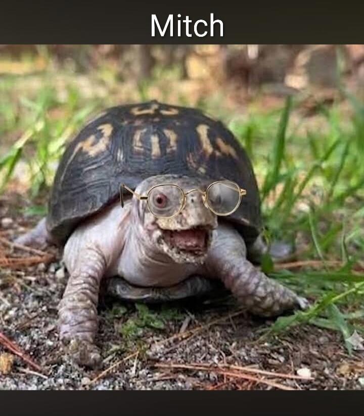 Mitch
