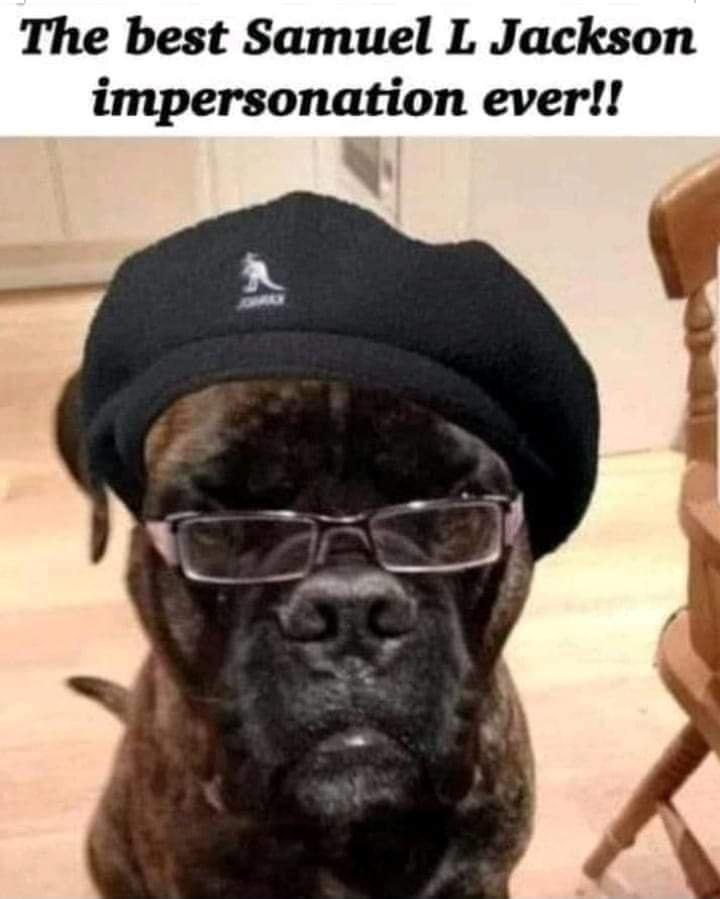 The best Samuel L Jackson impersonation ever