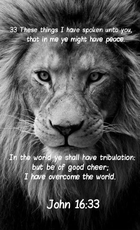 33 These things I have spoken unto you, that in me ye might have peace. In the world ye shall have tribulation: but be of good cheer; I have overcome the world. John 16:33