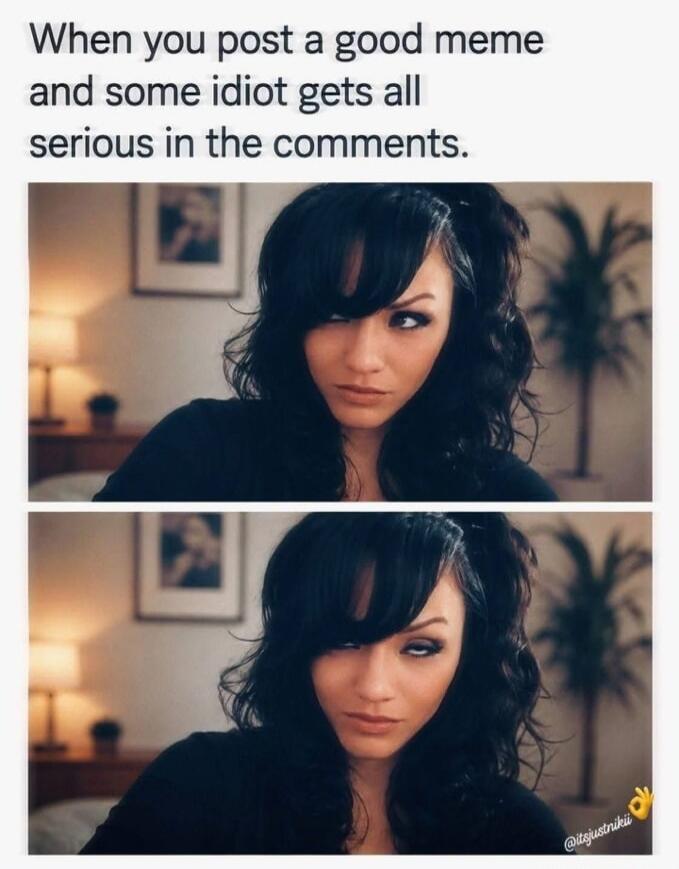 When you post a good meme and some idiot gets all serious in the comments.