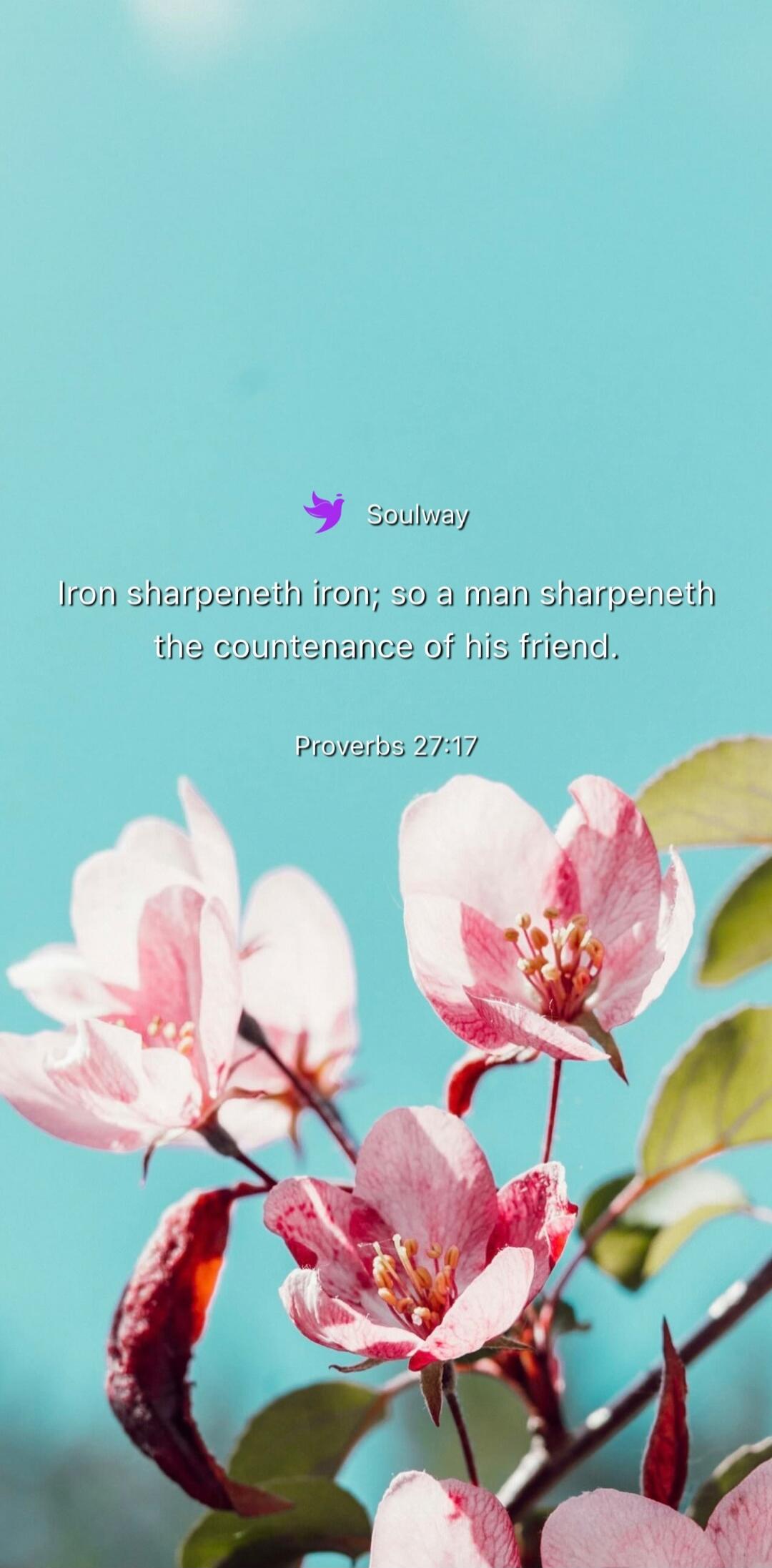 Soulway Iron sharpeneth iron; so a man sharpeneth the countenance of his friend. Proverbs 27:17
