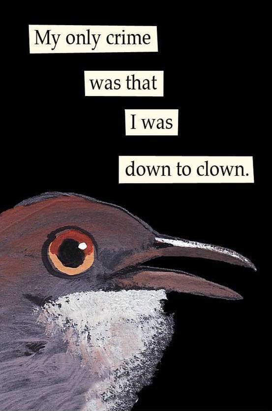 My only crime was that down to clown