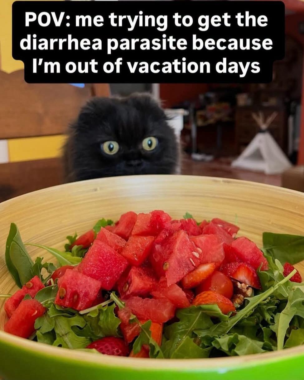 POV: me trying to get the diarrhea parasite because I'm out of vacation days