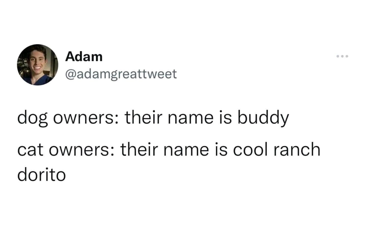 Adam adamgreattweet dog owners their name is buddy cat owners their name is cool ranch dorito