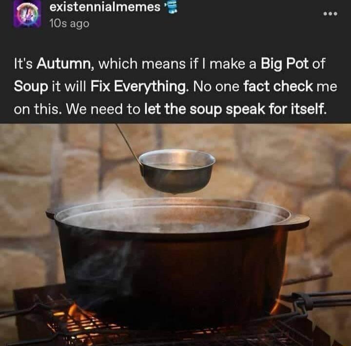 AR CHLIEI D EER 10s ago Its Autumn which means if make a Big Pot of Soup it will Fix Everything No one fact check me on this We need to let the soup speak for itself