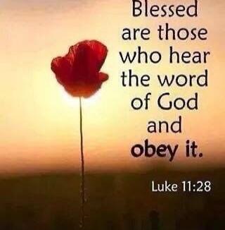 Blessed are those who hear the word of God and obey it. Luke 11:28