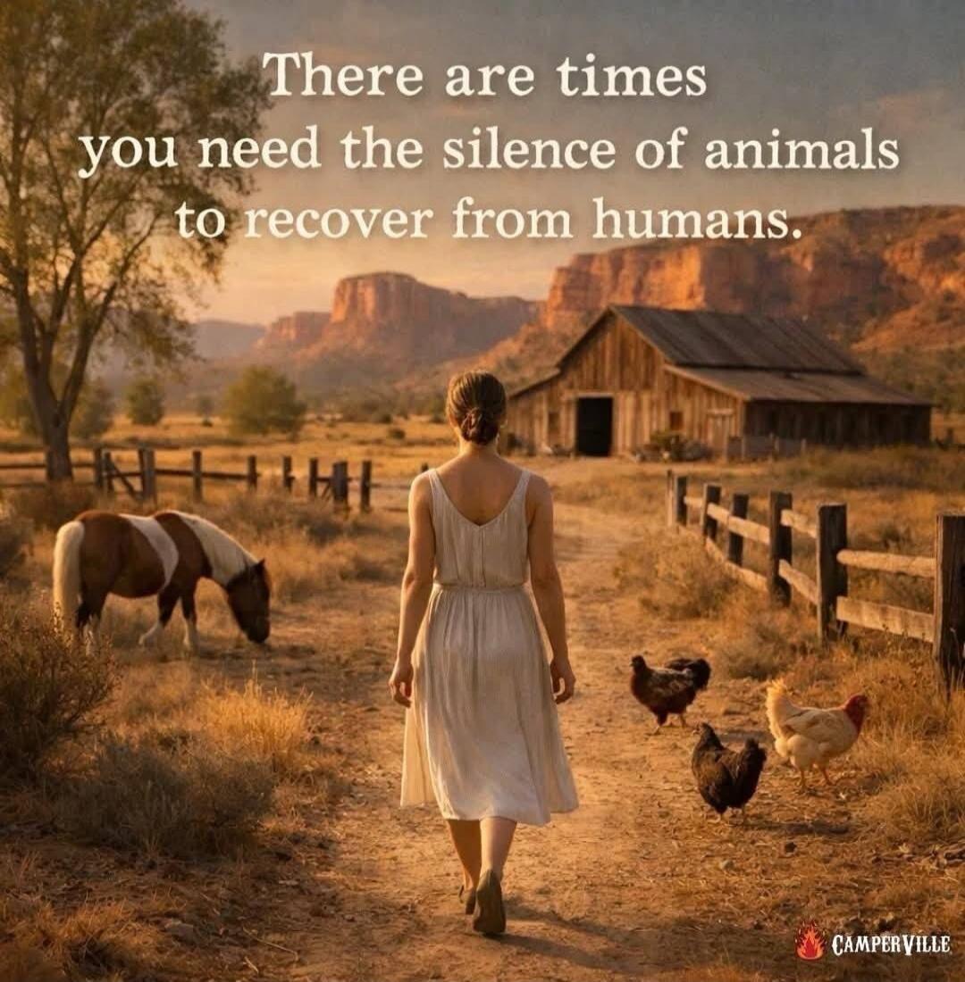 There are times you need the silence of animals to recover from humans. CAMPERVILLE